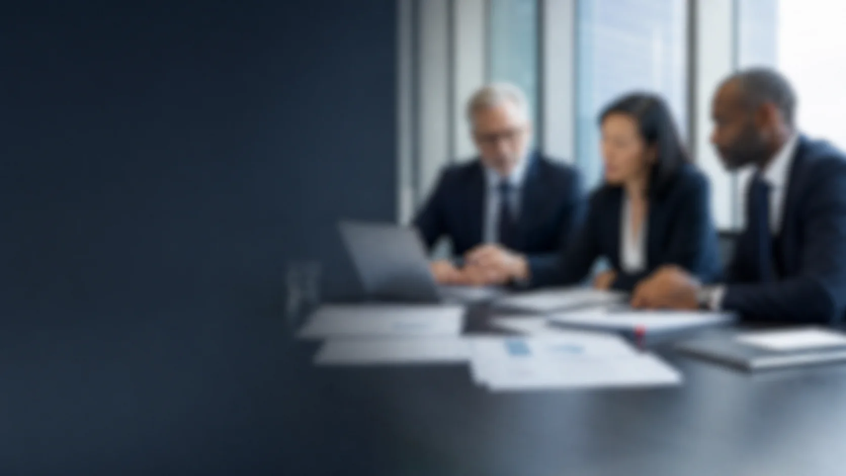 Anonymised senior review of a financial institution licensing application